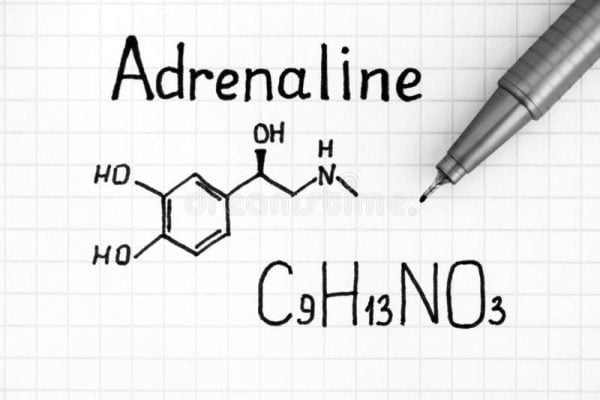 hormone adrenaline