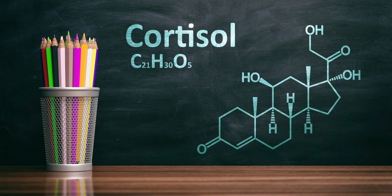 Công thức hóa học của Hormone Cortisol